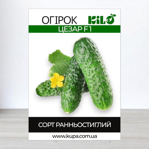 Насіння огірка Цезар F1, 100г